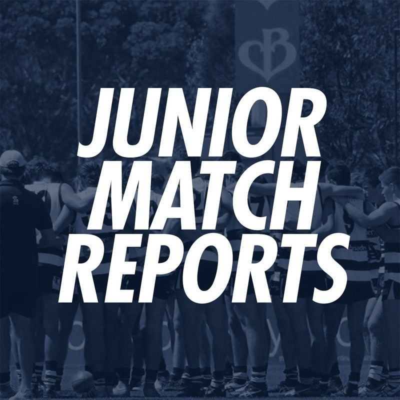 Junior Match Report: South vs Sturt Junior Match Report: South vs Sturt